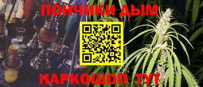 шишки Керчь
