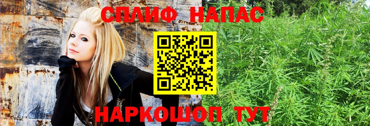 Конопля SATIVA & INDICA  Шишки марихуана OG Kush  Вход с VPN  Марихуана планчик  Каннабис AK-47  Иваново 