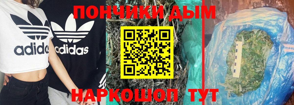 Конопля марихуана Иваново